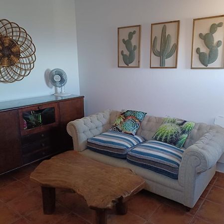 Casapancho 1 Y 2 - Casa Rural - Fasnia - Tenerife エクステリア 写真